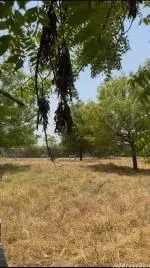 Property in Sanand | Ahmedabad