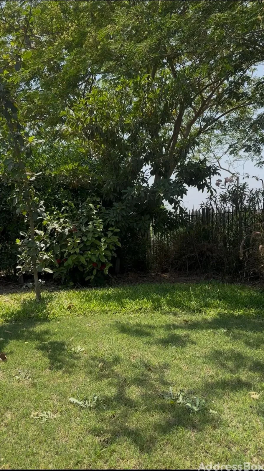 Property in Sanand | Ahmedabad