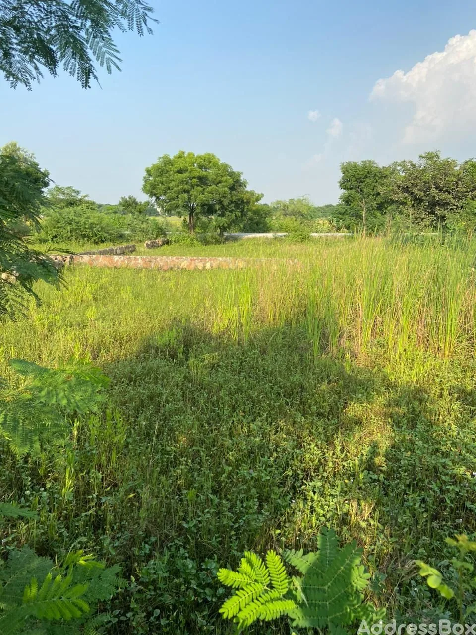 Property in Shardanagar | Ahmedabad